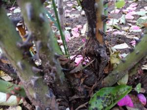 IMG_20230720_203513.jpg