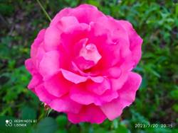 IMG_20230720_203218.jpg