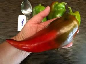 1181063141_112.thumb.jpeg.0c954a02b6dd4fc064d7957e4ab622f7.jpeg
