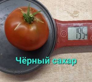 20230801_122141.jpg