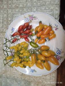 IMG_20230813_134650.jpg