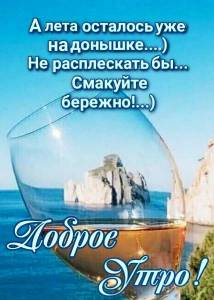 IMG_20230820_091632_726.thumb.jpg.fcf213a6a744ae88964c3a3c7a0945c0.jpg