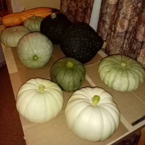 IMG_20230825_225430.jpg