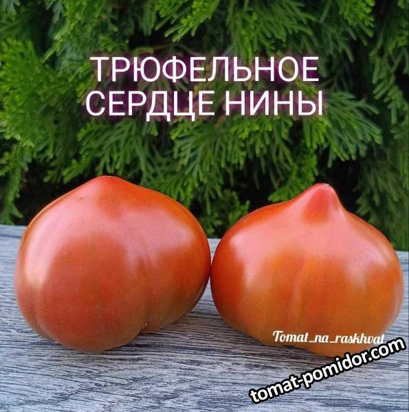 1690976939133_Polish_20230731_191407469.jpg