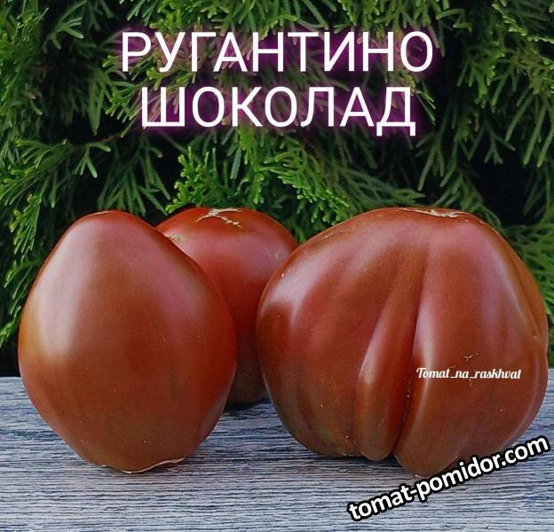 1693402550607_Polish_20230821_131341365.jpg