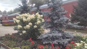 20230908_115828.jpg