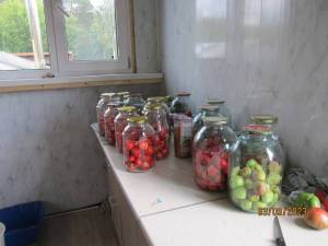 IMG_0080.thumb.JPG.d3517afa42166a5cf20b45299c1c1e8b.JPG