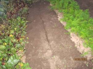 IMG_0122.thumb.JPG.8b09c9ad8245bb0a684b92c2a14f18fa.JPG
