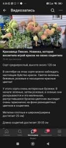 Screenshot_2023-09-14-08-38-03-626_com.yandex.browser.jpg