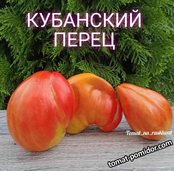 1693714439627_Polish_20230813_160135847.jpg