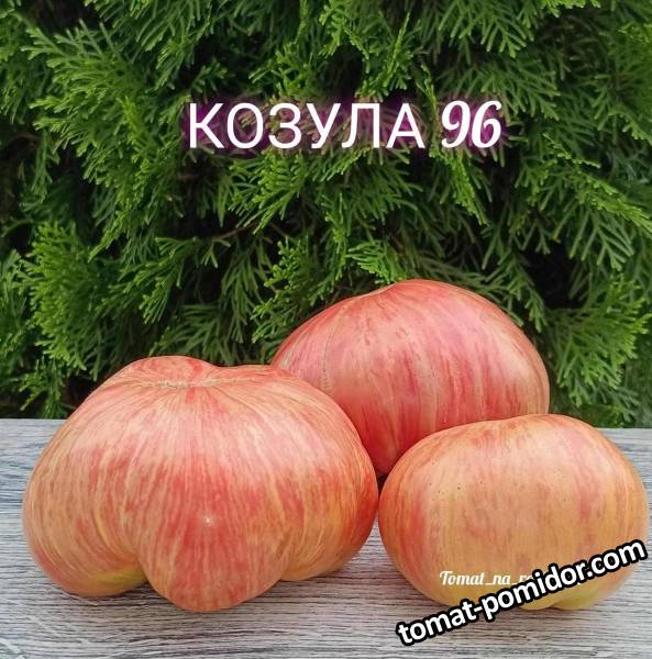 1693714465292_Polish_20230813_164643066.jpg