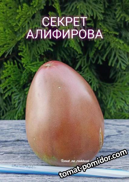 1693714475696_Polish_20230814_160640537.jpg