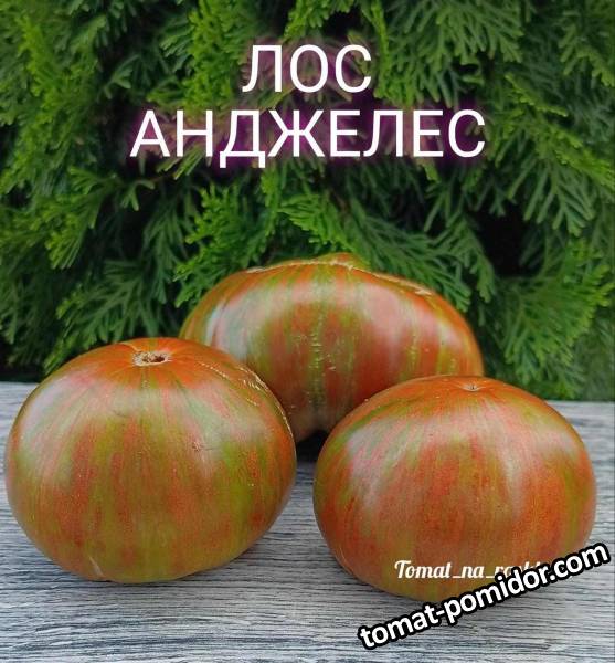 1693714486987_Polish_20230814_161818786.jpg