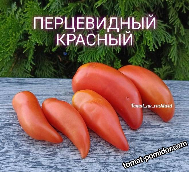 1693714513451_Polish_20230814_175017872.jpg