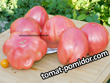 large.553919047_1DSCN9549.png.d30ec29f47ea747ba60386e95ad0c5ff.png