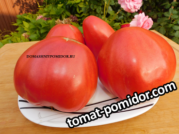 large.664340451_1DSCN8157.png.8961f481672a49d09186d648b5c00c65.png