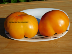 1 сказочный фрукт DSCN9724.png