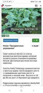 Screenshot_20231004-123651_Yandex Start.jpg