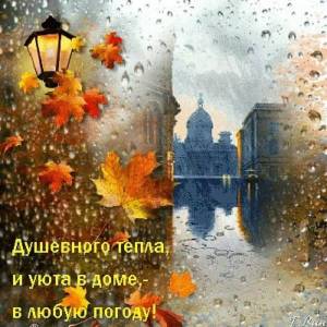 i - 2023-10-29T105338.394.jpeg