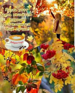 i - 2023-10-22T103115.929.jpeg