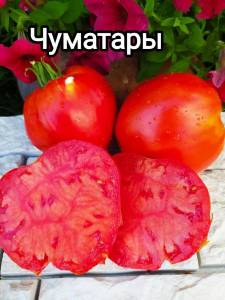 1750740422_i(44).thumb.jpg.20d7e3db802da693cb9aad72803f69ac.jpg
