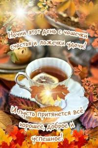 i - 2023-10-25T081249.555.jpeg