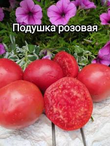 1987280629_i(43).thumb.jpg.c42cb64e708019ba9eb13c28fe514f33.jpg