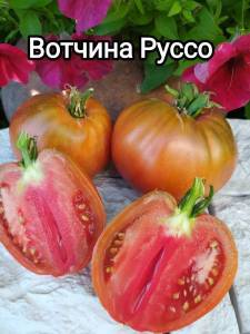 817340237_i(24).thumb.jpg.f8d6dabe5fb373b4ea407f638713f6ce.jpg