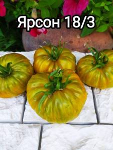 946859813_i(4).thumb.jpg.c42f5de24d5cf4a4d5c8e9874927a0a9.jpg