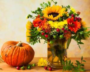 IMG-20231015-WA0000.jpg