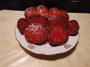 IMG_20221011_232744.thumb.jpg.f896b6b33a4bb3201370ef8d8f8290cc.jpg