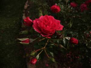IMG_20231004_124509.thumb.jpg.e631974c5b4c92051300b0ff8da9d2e9.jpg