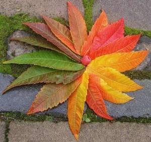IMG_20231017_063303_380.thumb.jpg.99c73af458b13cef517ff2c157f5f6c9.jpg