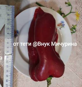 IMG_20231022_172424.jpg