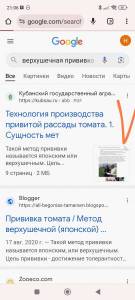 Screenshot_2023-10-30-21-06-13-534-edit_com.android.chrome.jpg