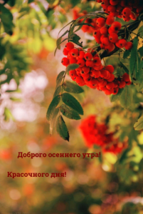 photowords_ru_11250.png