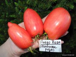 Fuego Rosa (Огненная Роза) 2.JPG