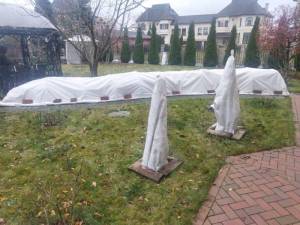 IMG_20231116_151550 копия.jpg