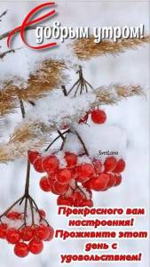 i - 2023-11-01T101413.955.jpeg