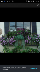 Screenshot_2023-11-21-15-02-48.png