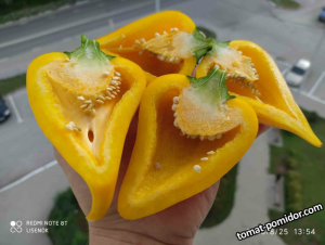 image.thumb.png.3a555cd2ca877d7d0dbbe65dafbe34e1.png