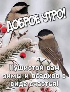 IMG-20231212-WA0000.jpg
