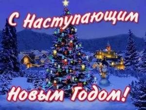 IMG-20231225-WA0004.thumb.jpg.ad70fa2bd38e32d921cc73556e05a593.jpg