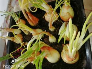 IMG_20231206_133542.jpg