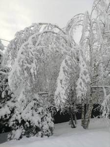 IMG_20231225_124552.thumb.jpg.6523d578431f67ca05f4f1f7034f91bf.jpg