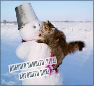 dobrogo-zimnego-utra022.thumb.jpg.f143a3afa4a0f9c592575c2c9d76a499.jpg