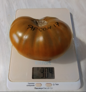 image.thumb.png.56dc692125ac8940ea6b48e38a7fa067.png