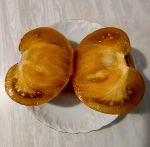 image.thumb.png.952f4b06c9007bc922575a844bb04dfa.png