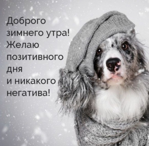 image.thumb.png.f9b80d441ed36a5b4cdf301859b153b3.png