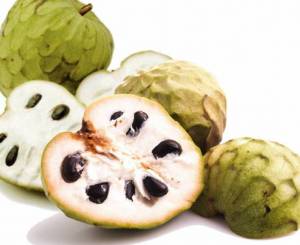 1651291569_11-vsegda-pomnim-com-p-cherimoiya-frukt-foto-13.thumb.jpg.81e2d6fcf6f64080b067202e75925835.jpg